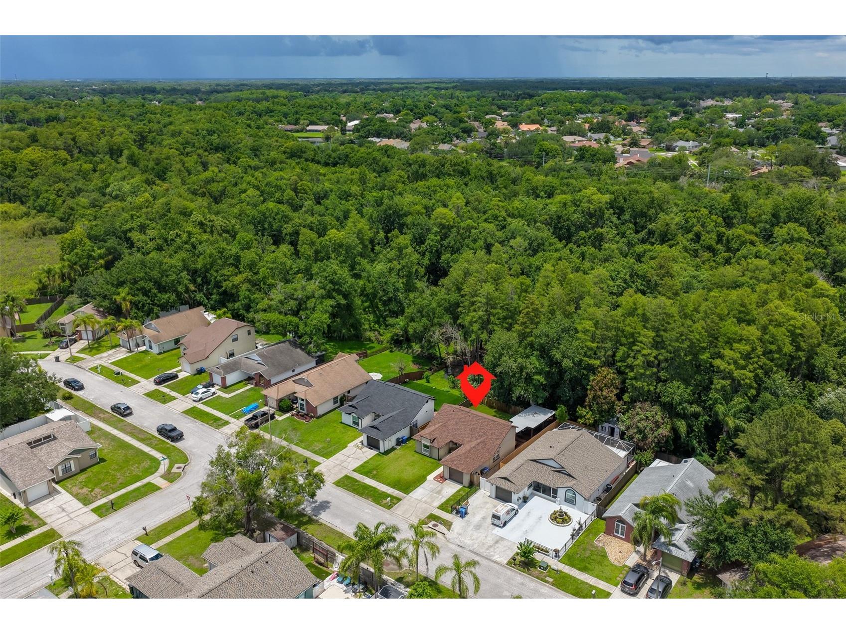 12832 Coverdale Drive Tampa FL 33624 TB8505769 image46