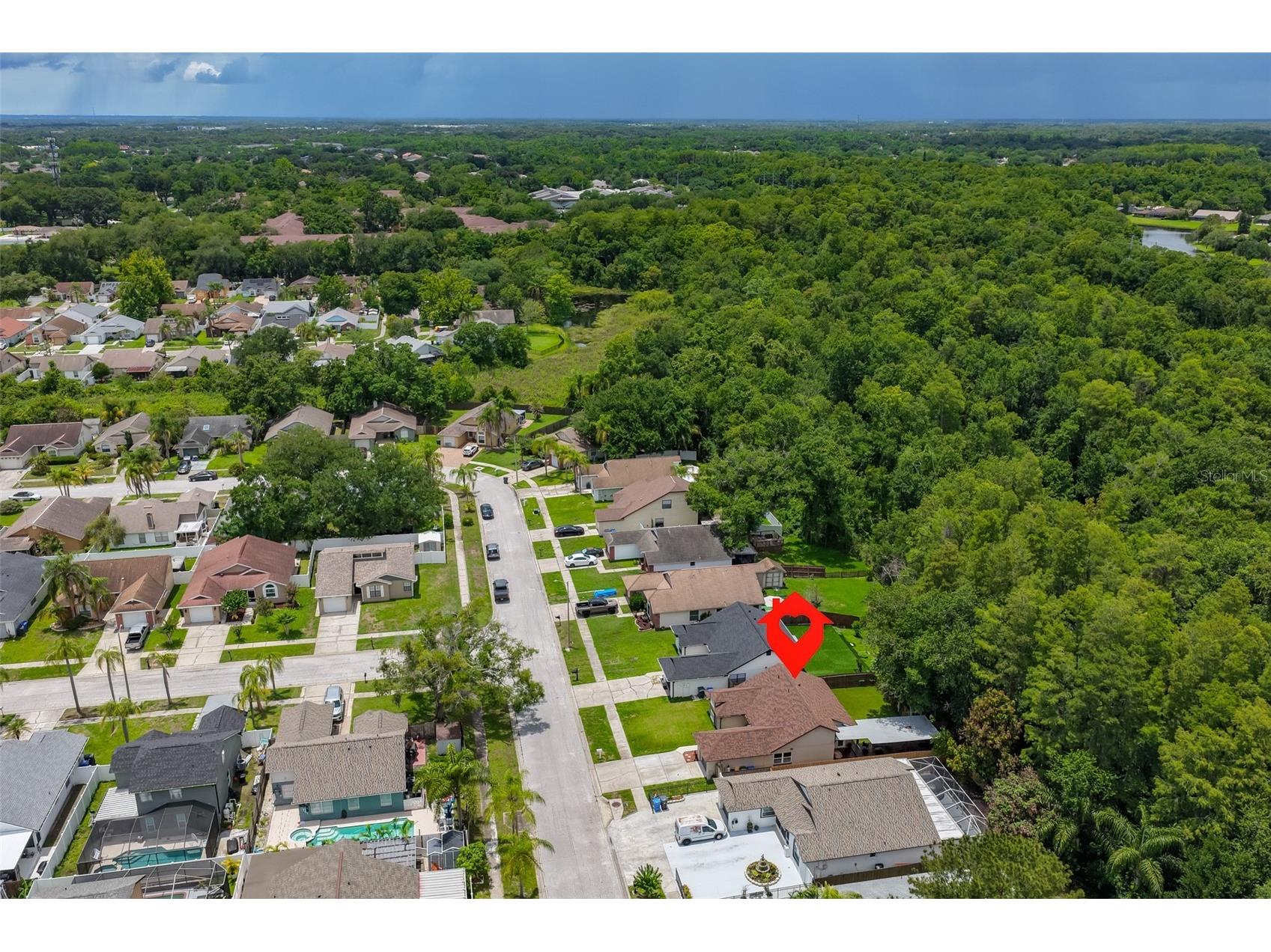 12832 Coverdale Drive Tampa FL 33624 TB8505769 image47