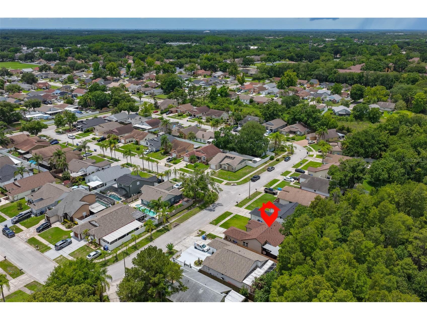 12832 Coverdale Drive Tampa FL 33624 TB8505769 image48