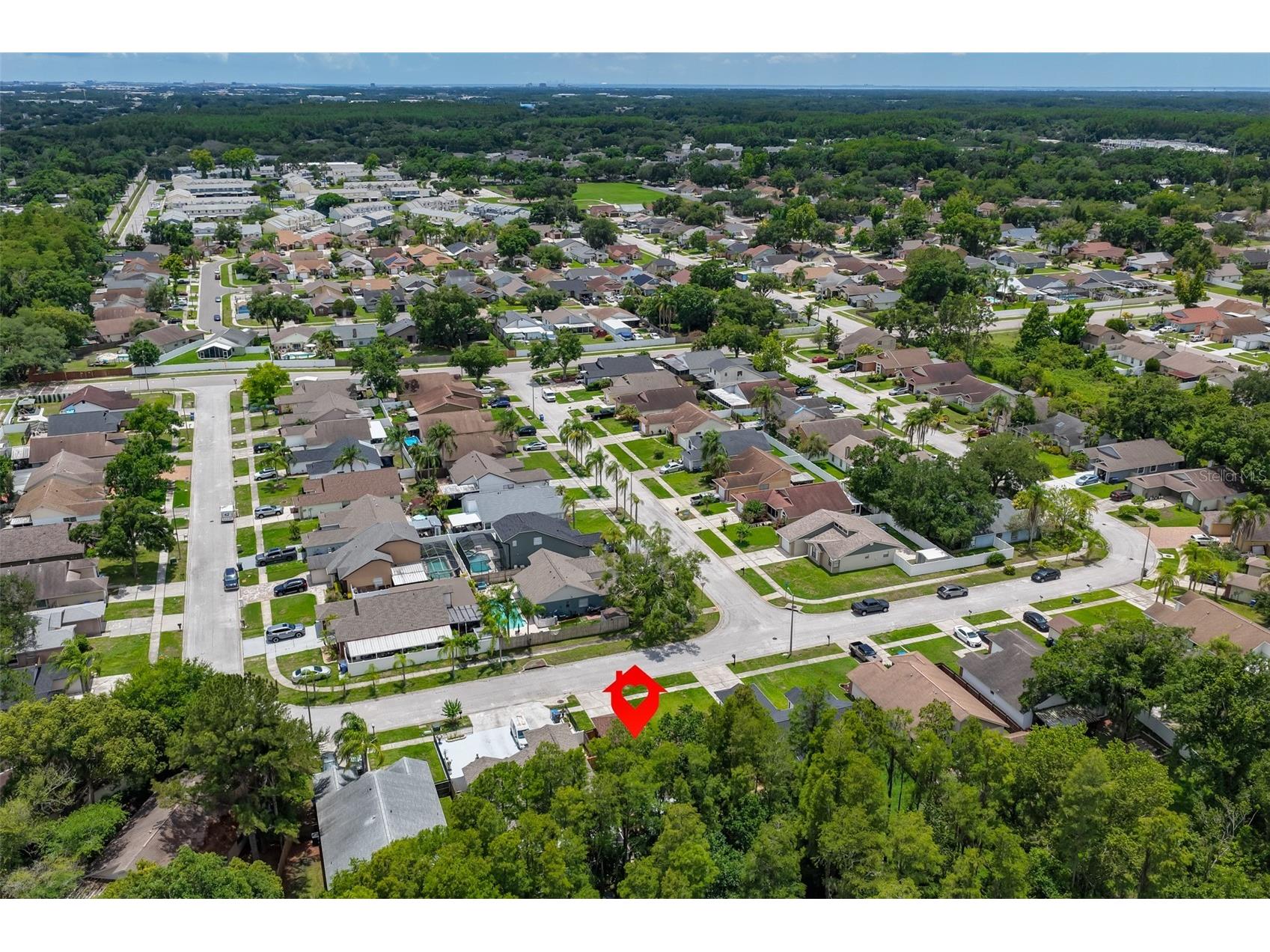 12832 Coverdale Drive Tampa FL 33624 TB8505769 image49