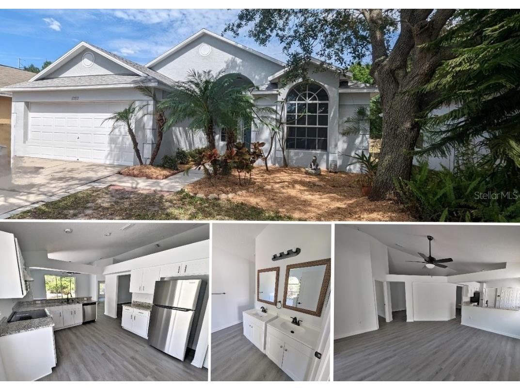 12832 Kings Lake Drive Gibsonton FL 33534 T3441248 image1