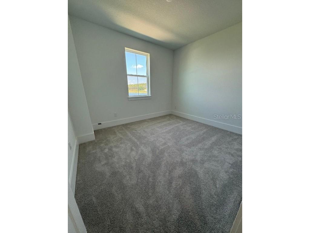 12832 Lavender Bloom Alley Winter Garden FL 34787 O6329360 image11