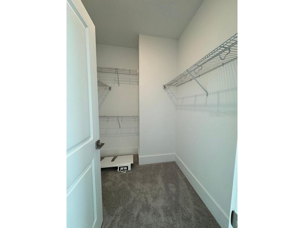 12832 Lavender Bloom Alley Winter Garden FL 34787 O6329360 image25