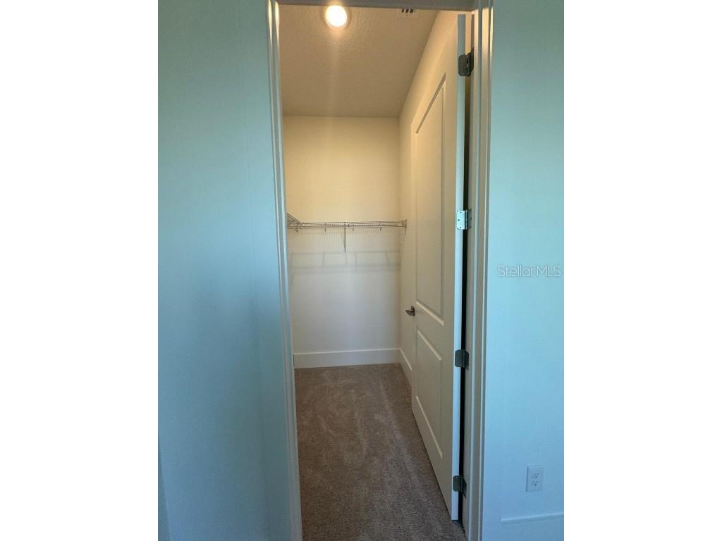 12832 Lavender Bloom Alley Winter Garden FL 34787 O6329360 image34