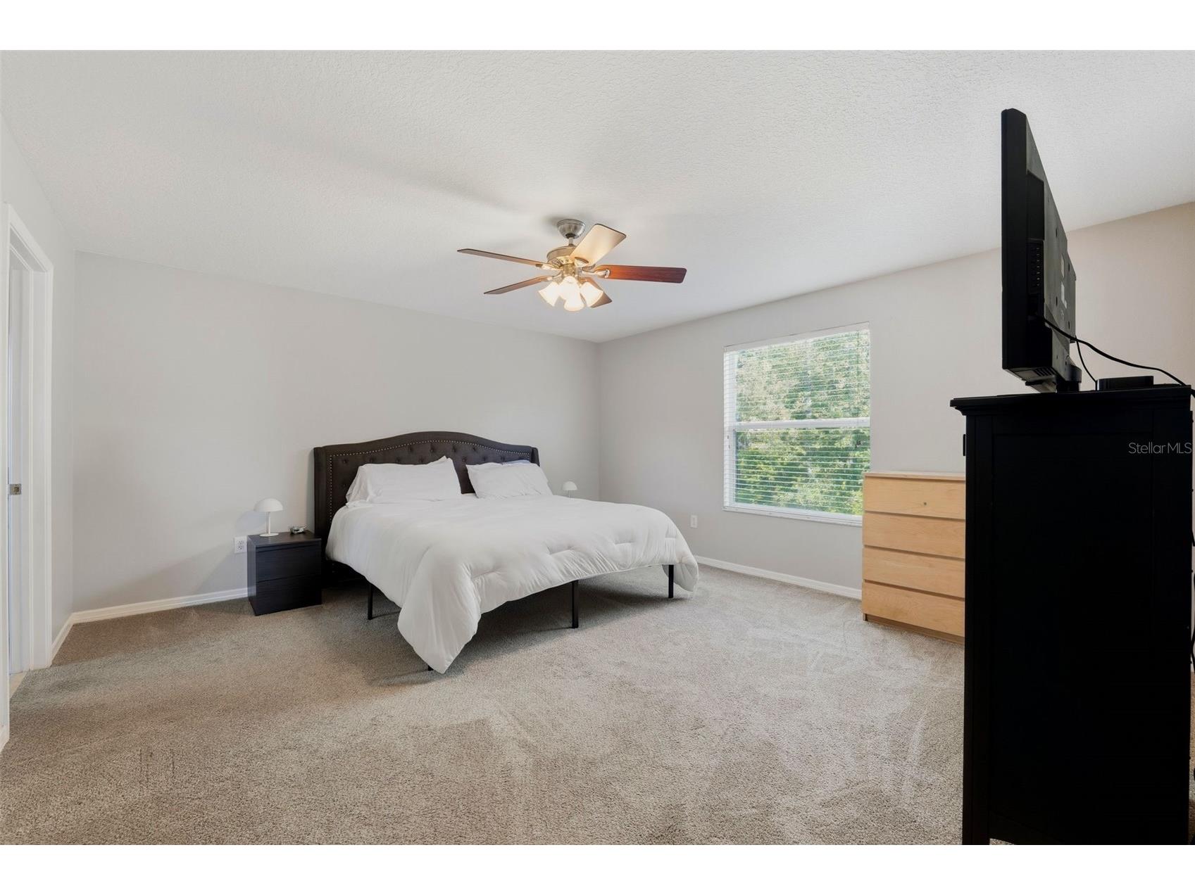 12832 Saulston Place Hudson FL 34669 TB8508814 image22