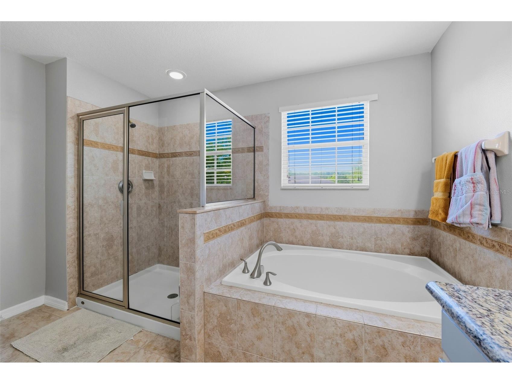 12832 Saulston Place Hudson FL 34669 TB8508814 image25