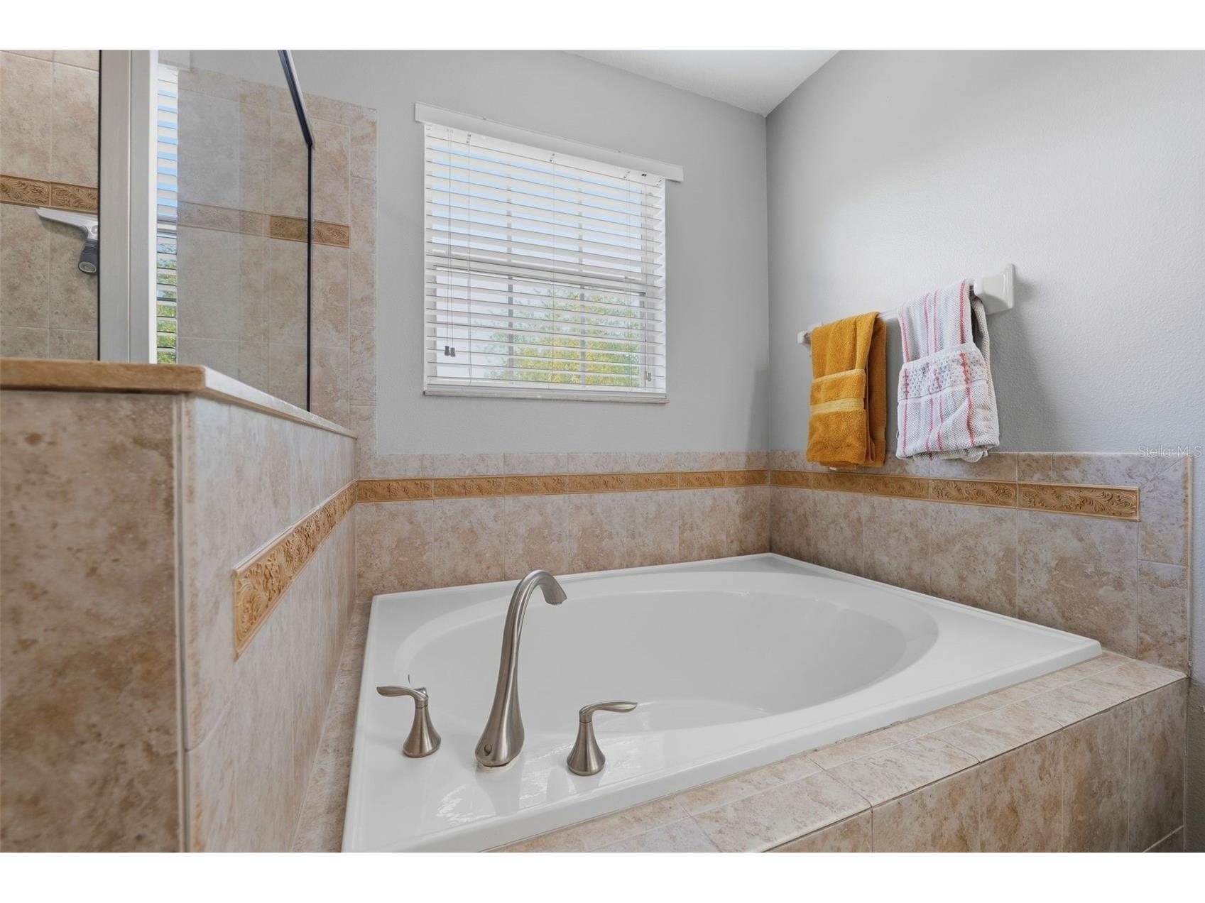 12832 Saulston Place Hudson FL 34669 TB8508814 image26