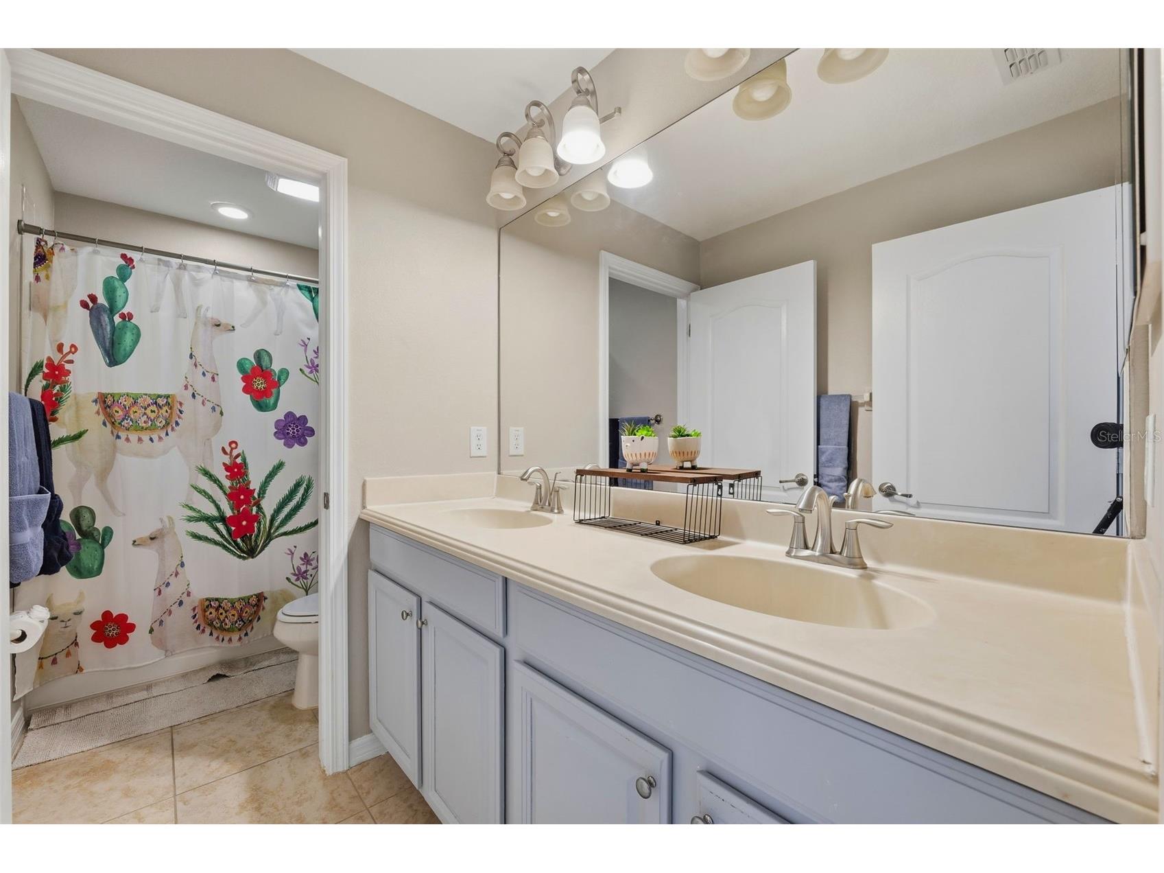 12832 Saulston Place Hudson FL 34669 TB8508814 image29