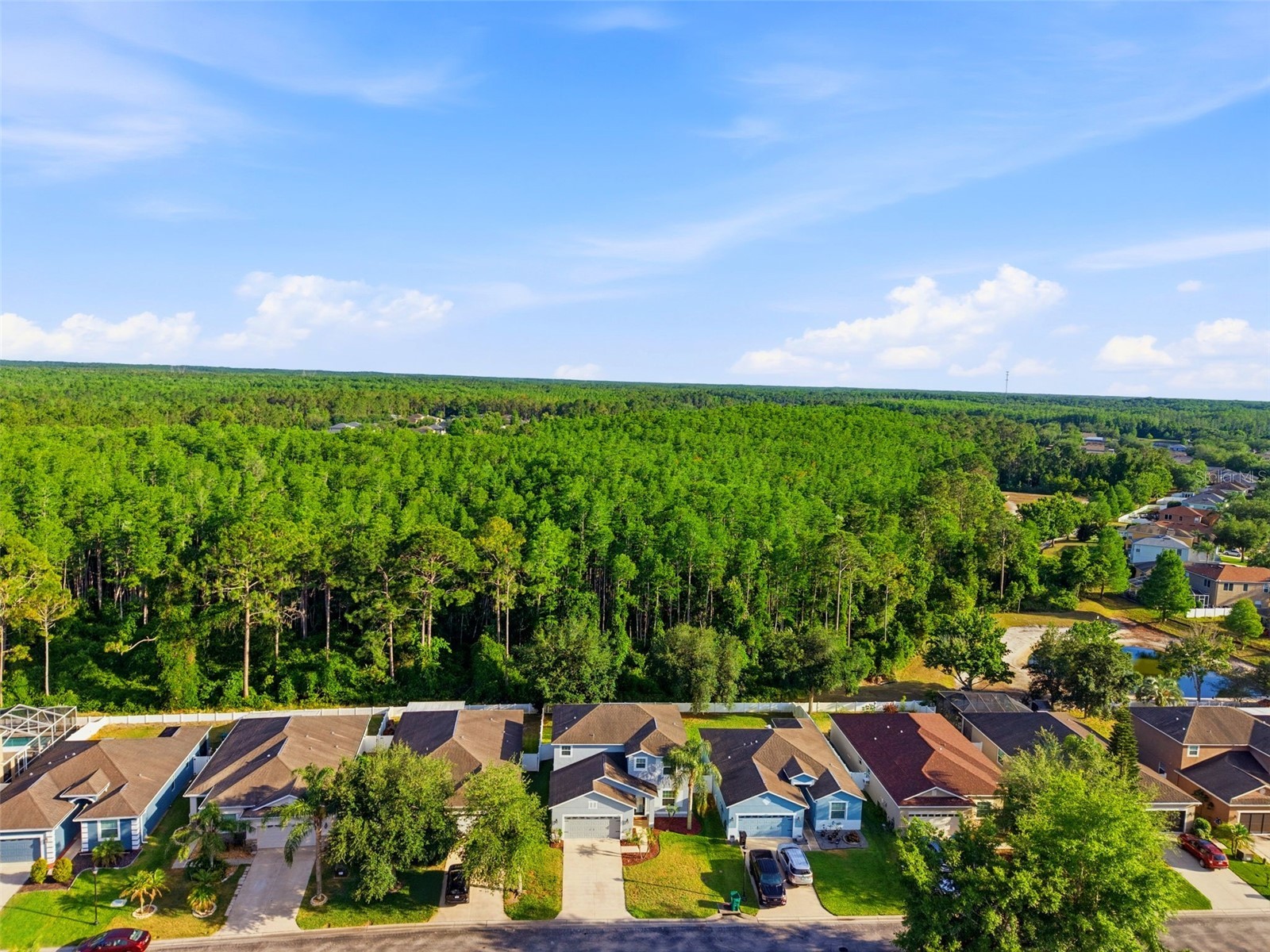 12832 Saulston Place Hudson FL 34669 TB8508814 image44