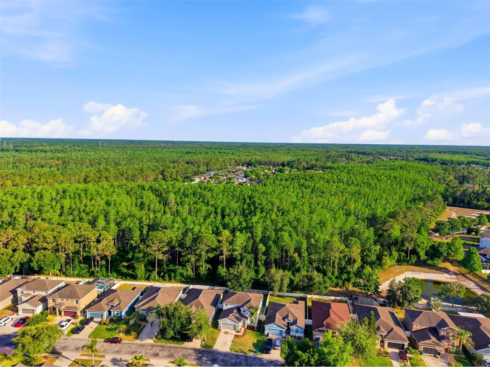 12832 Saulston Place Hudson FL 34669 TB8508814 image45