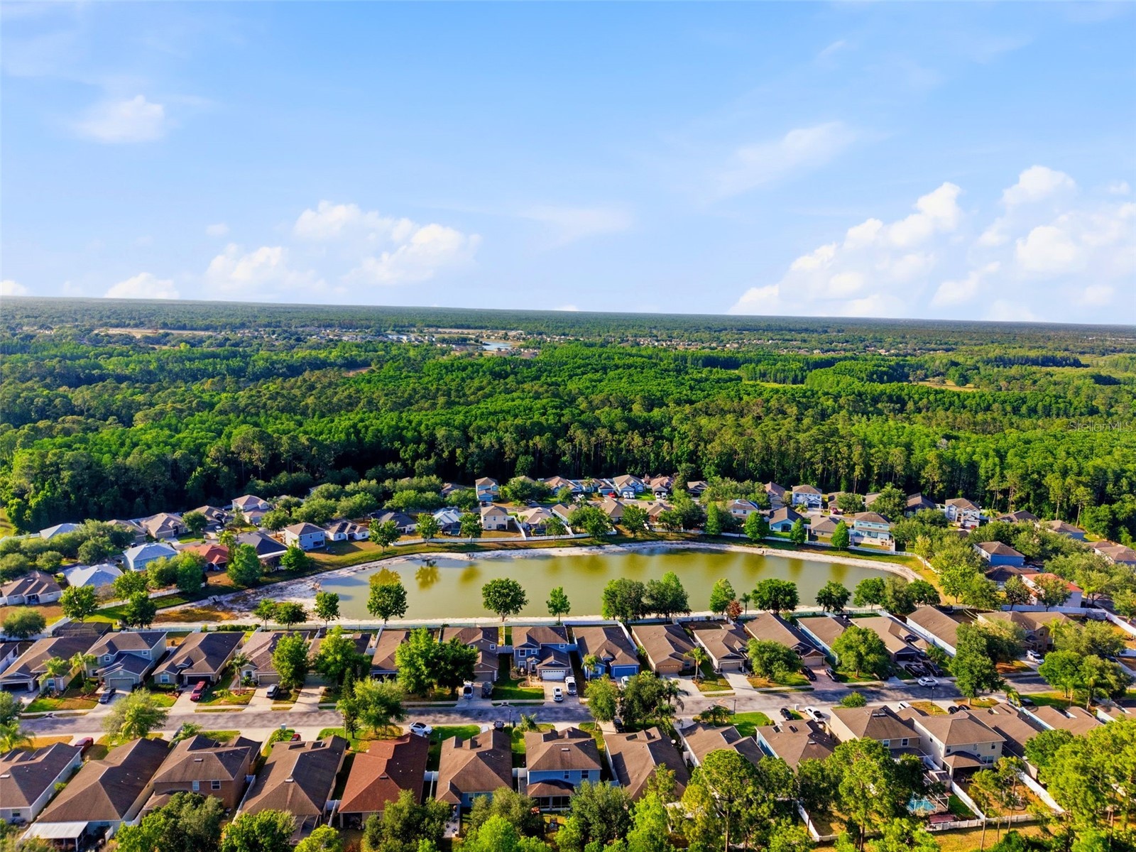 12832 Saulston Place Hudson FL 34669 TB8508814 image47