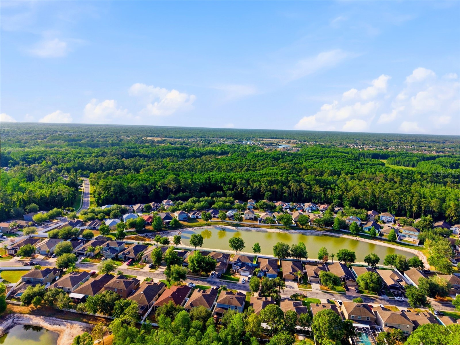 12832 Saulston Place Hudson FL 34669 TB8508814 image48
