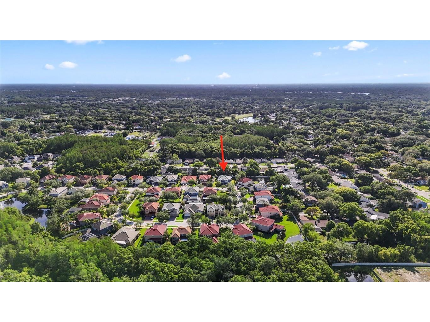 12833 Darby Ridge Drive Tampa FL 33624 TB8344210 image19