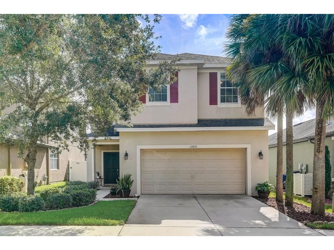 12833 Geneva Glade Drive Riverview FL 33578 T3469727 image1