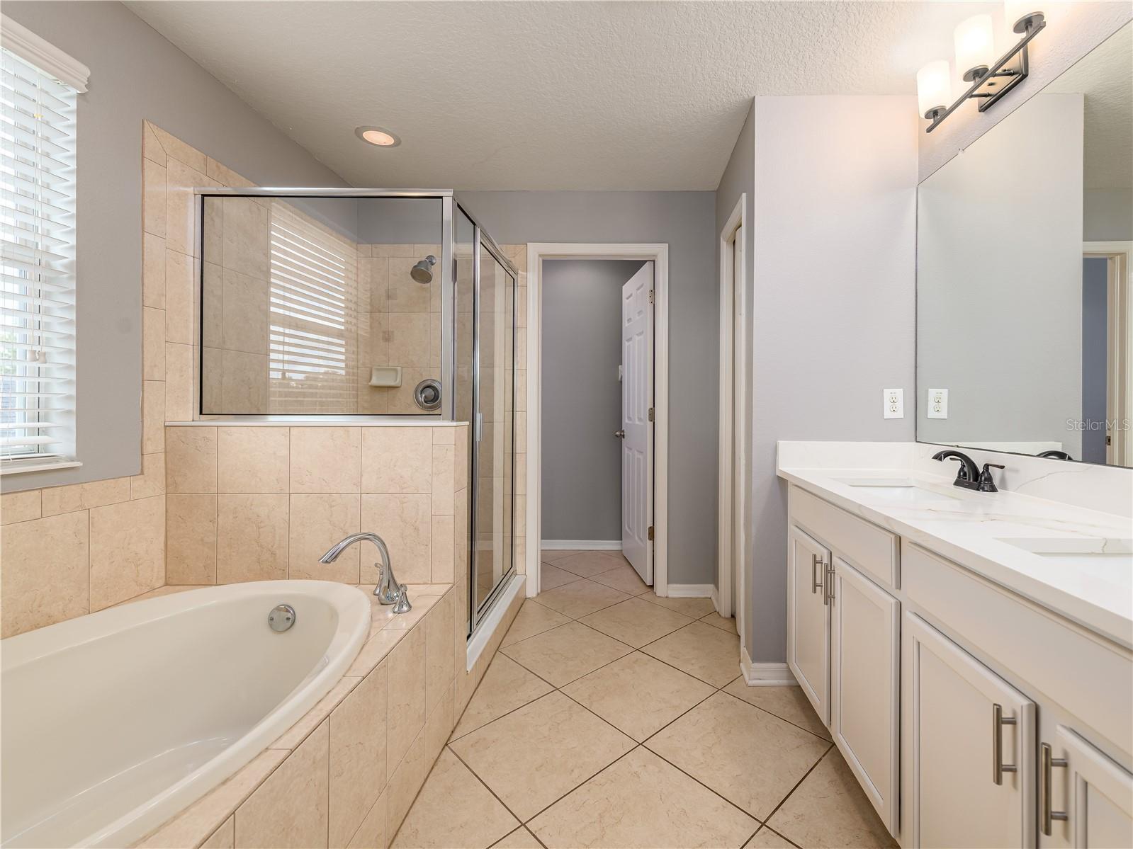 12833 Geneva Glade Drive Riverview FL 33578 TB8519800 image27
