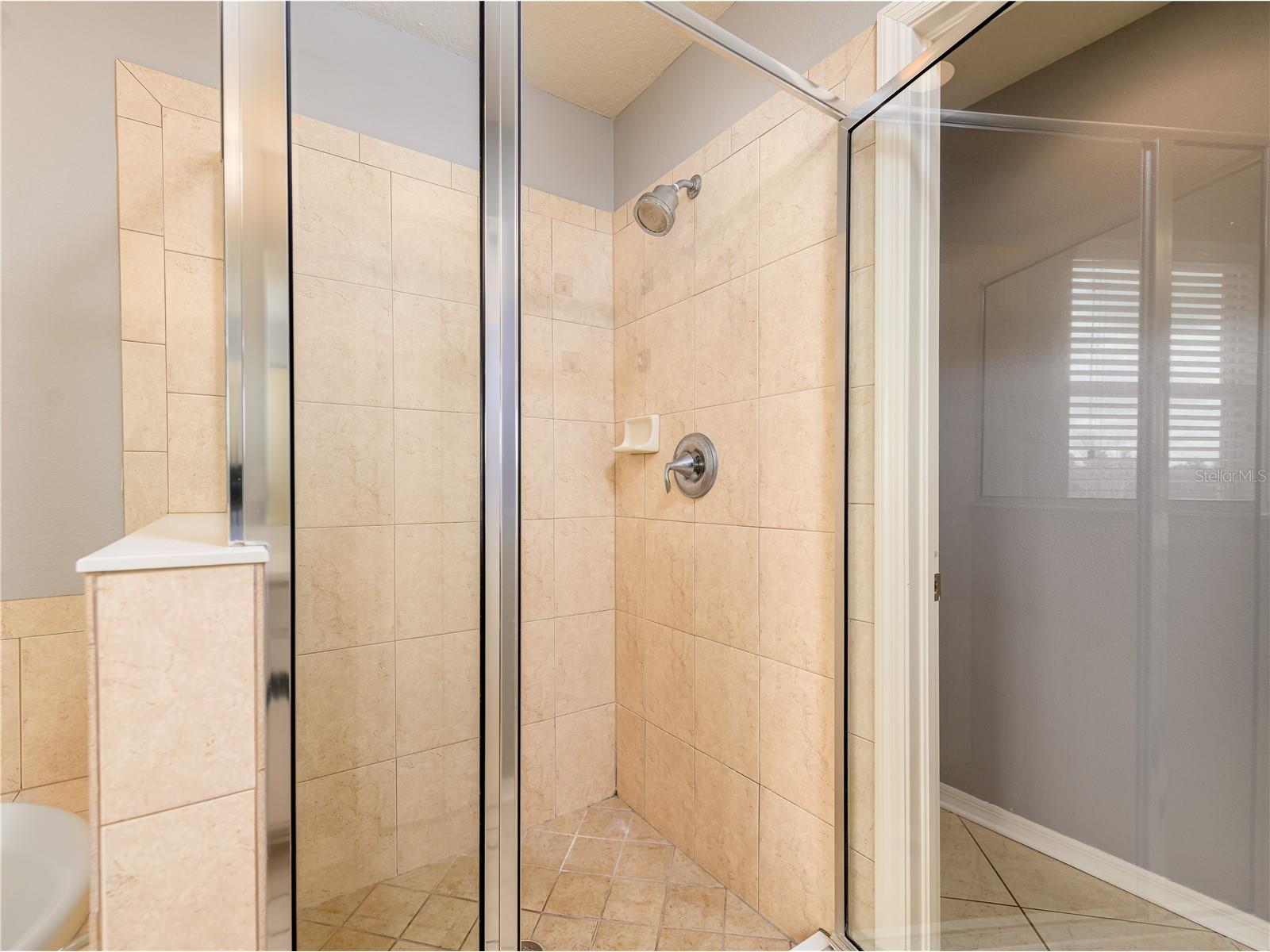 12833 Geneva Glade Drive Riverview FL 33578 TB8519800 image29