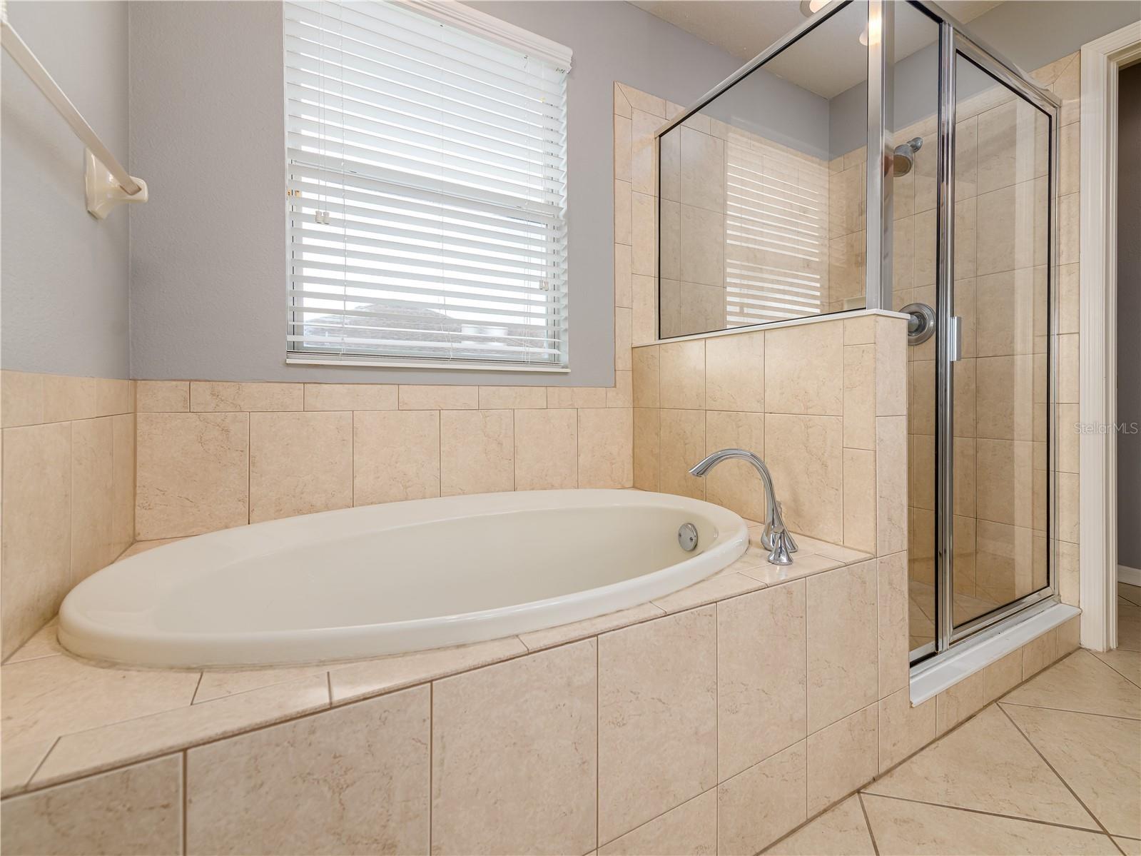 12833 Geneva Glade Drive Riverview FL 33578 TB8519800 image30
