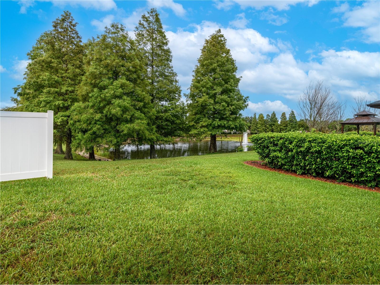 12833 Geneva Glade Drive Riverview FL 33578 TB8519800 image43