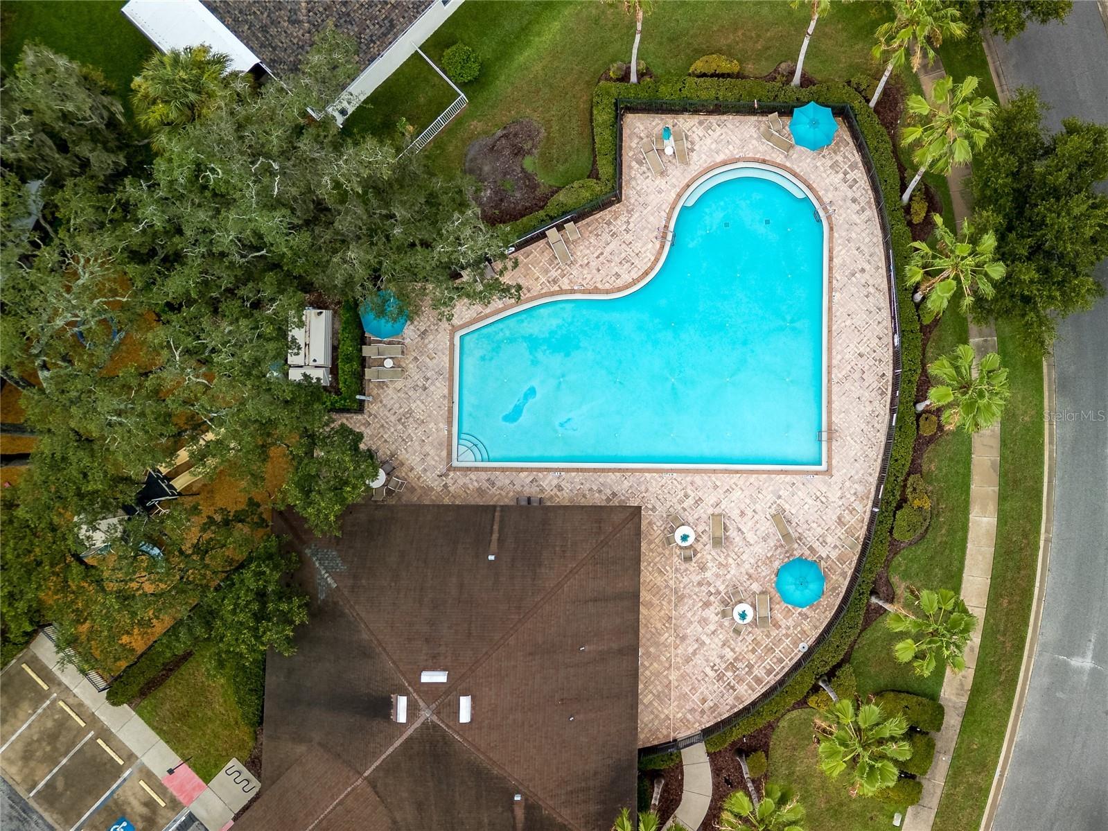 12833 Geneva Glade Drive Riverview FL 33578 TB8519800 image55