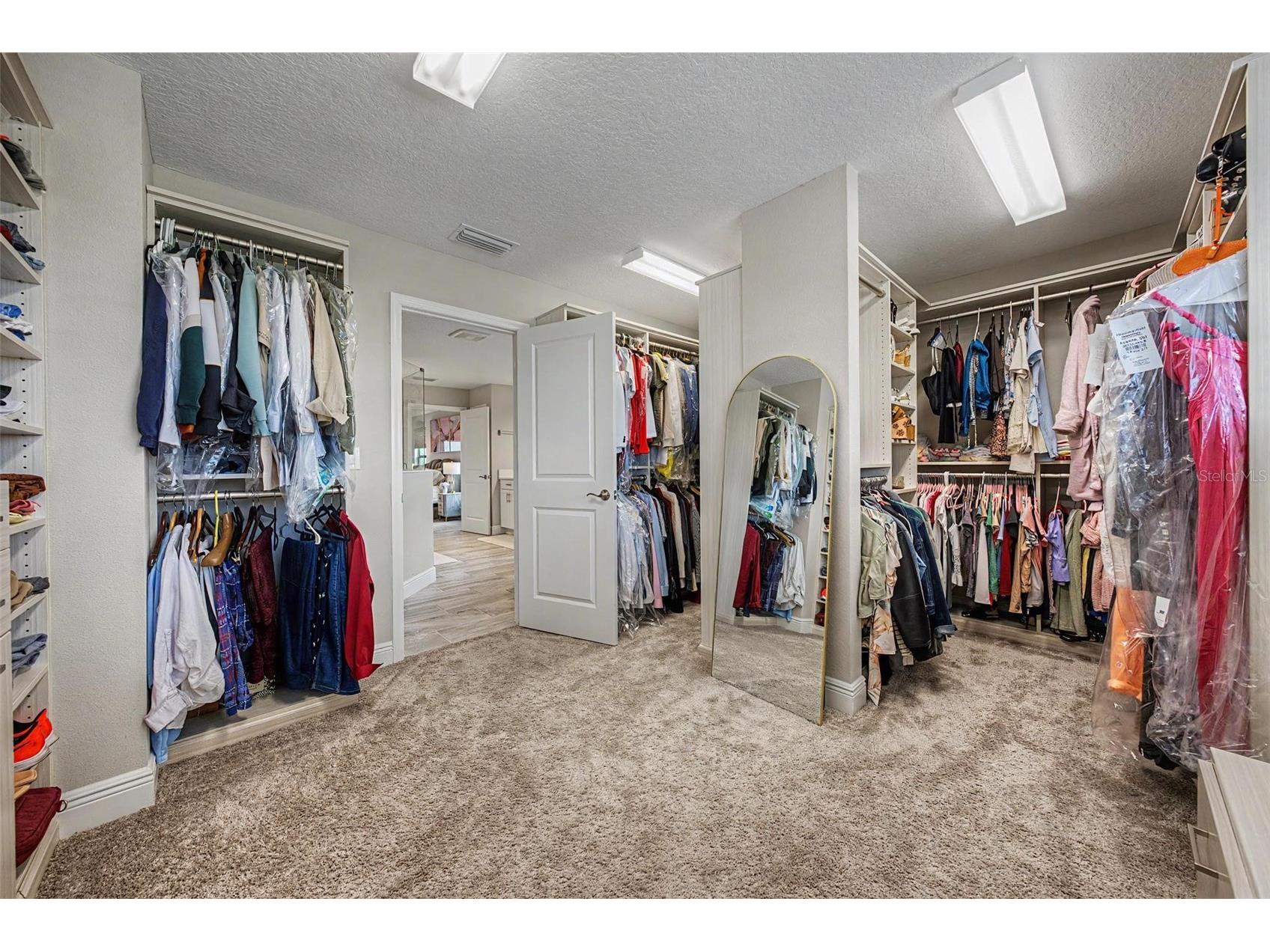 12834 Boggy Creek Drive Riverview FL 33579 TB8520740 image33