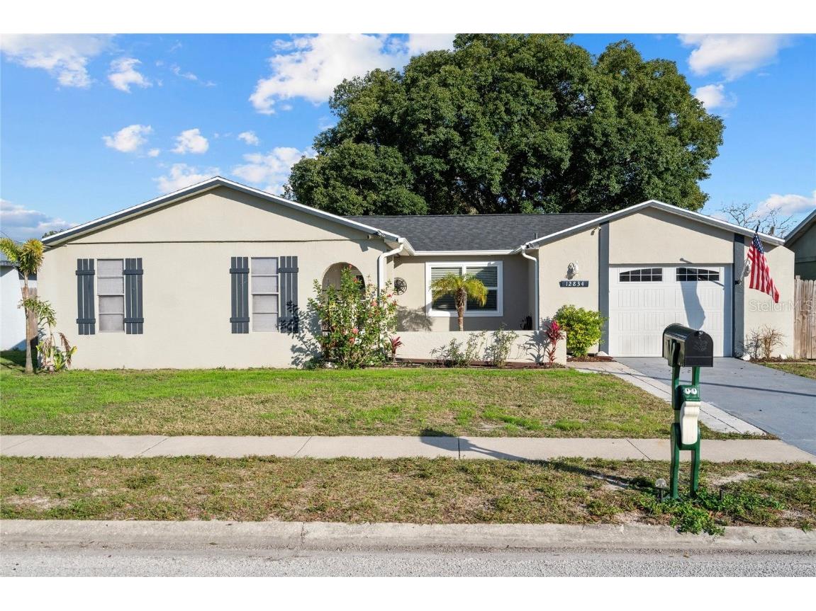 12834 Buckhorn Drive Hudson FL 34669 T3497231 image1
