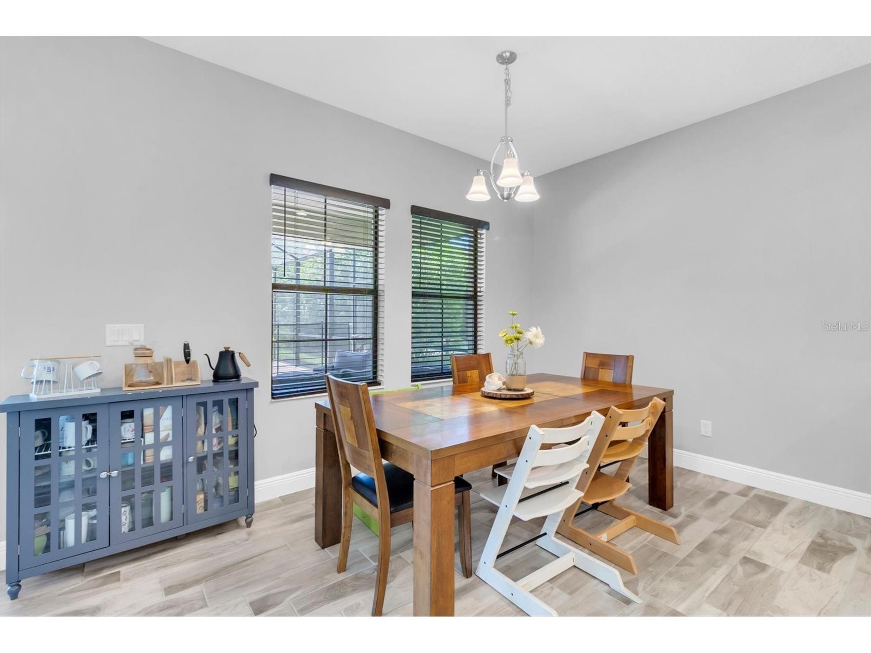 12834 Burns Drive Odessa FL 33556 W7885745 image16