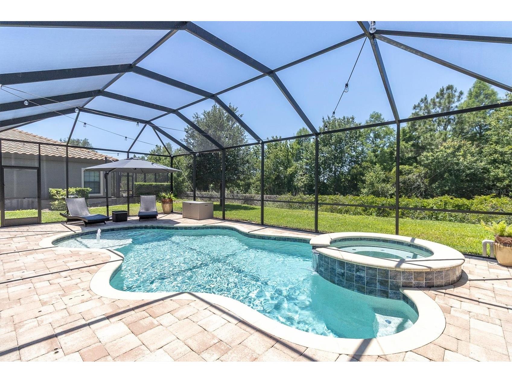 12834 Burns Drive Odessa FL 33556 W7885745 image49