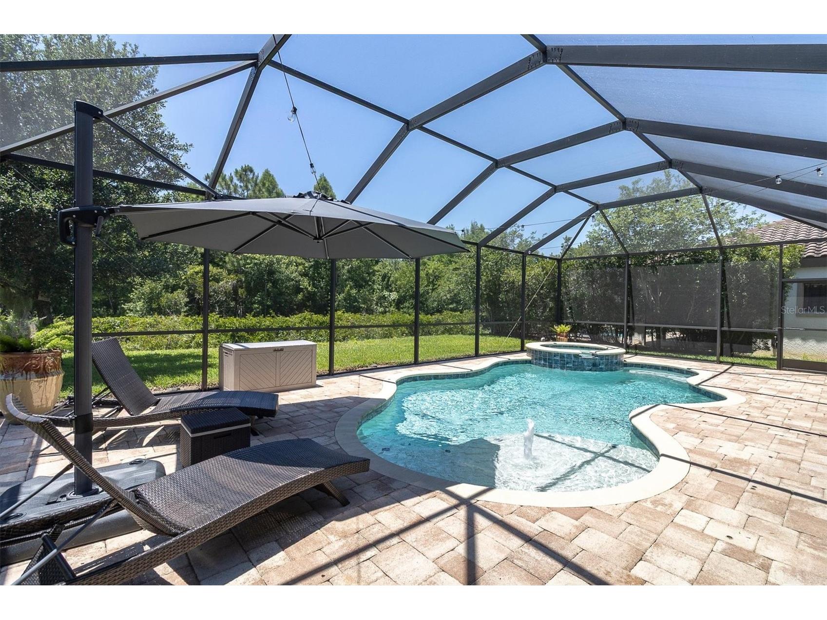 12834 Burns Drive Odessa FL 33556 W7885745 image52