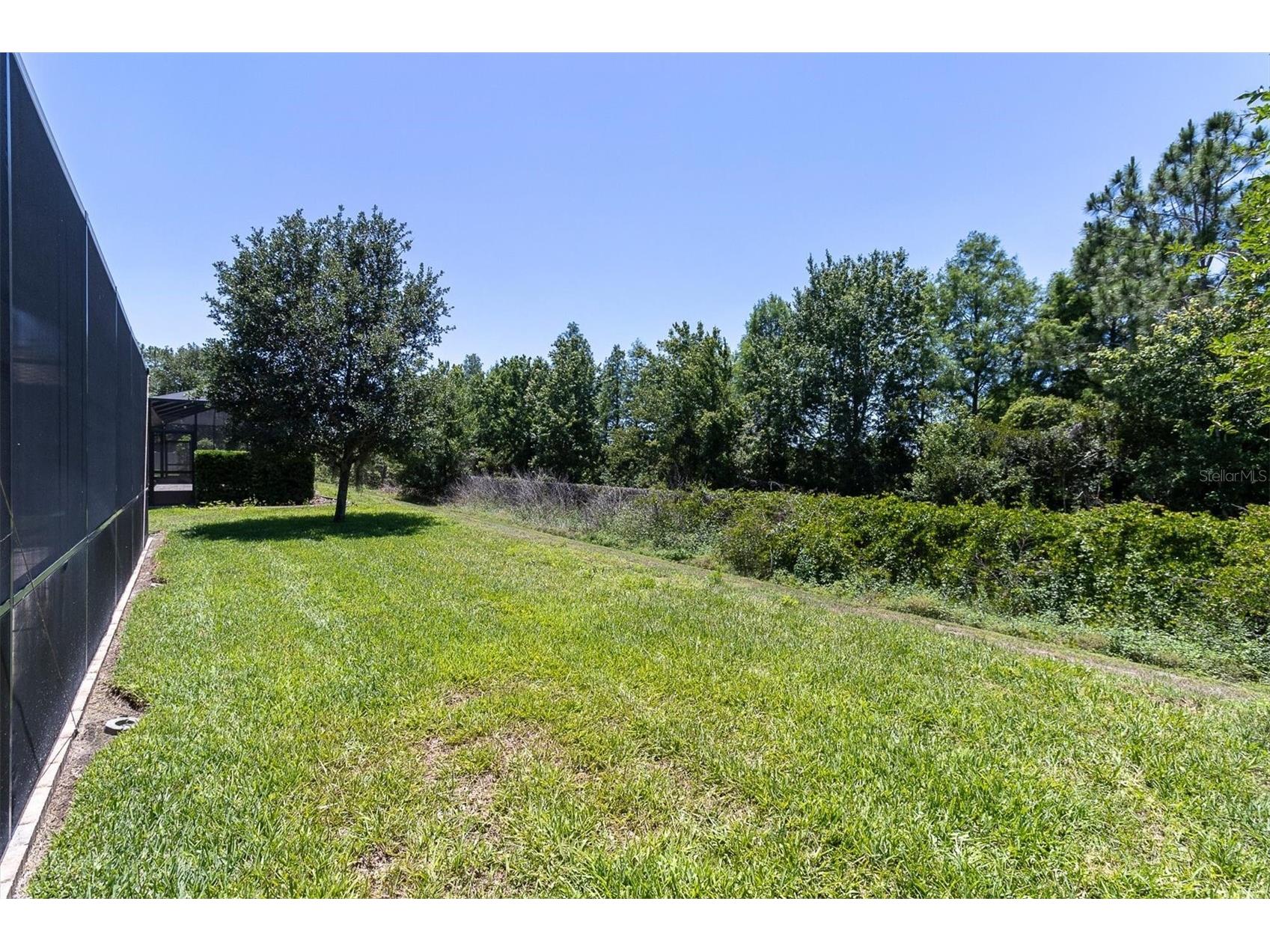 12834 Burns Drive Odessa FL 33556 W7885745 image55