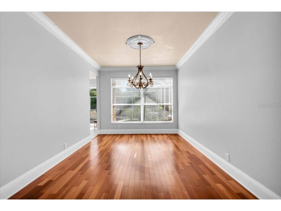 12835 Darby Ridge Drive Tampa FL 33624 A4657557 image10