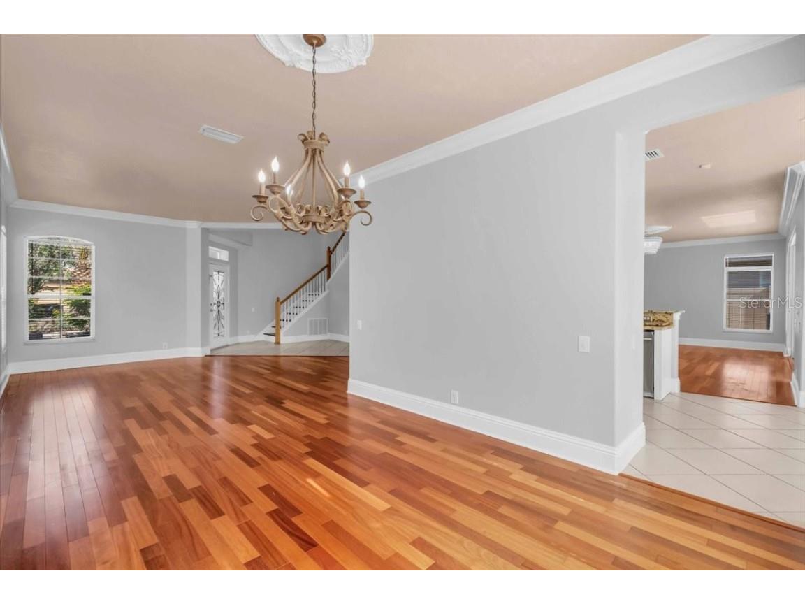 12835 Darby Ridge Drive Tampa FL 33624 A4657557 image11