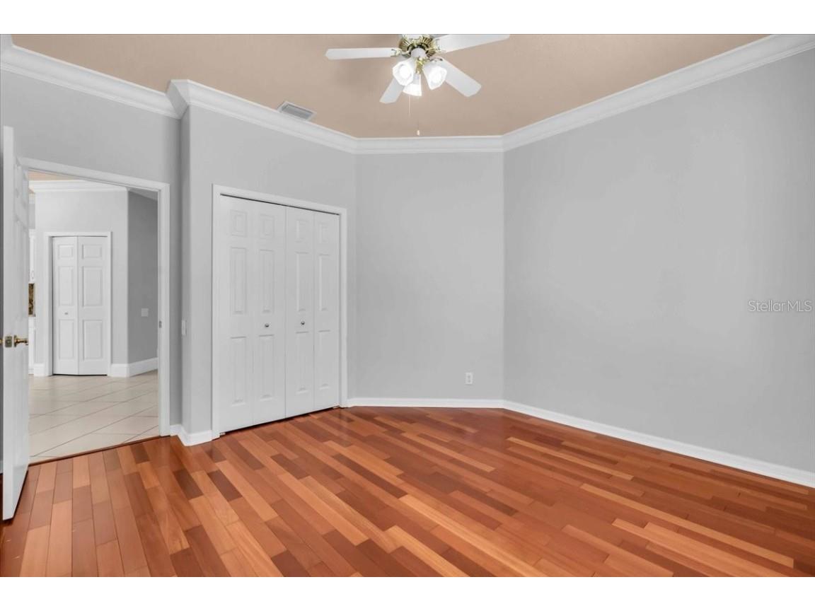 12835 Darby Ridge Drive Tampa FL 33624 A4657557 image21