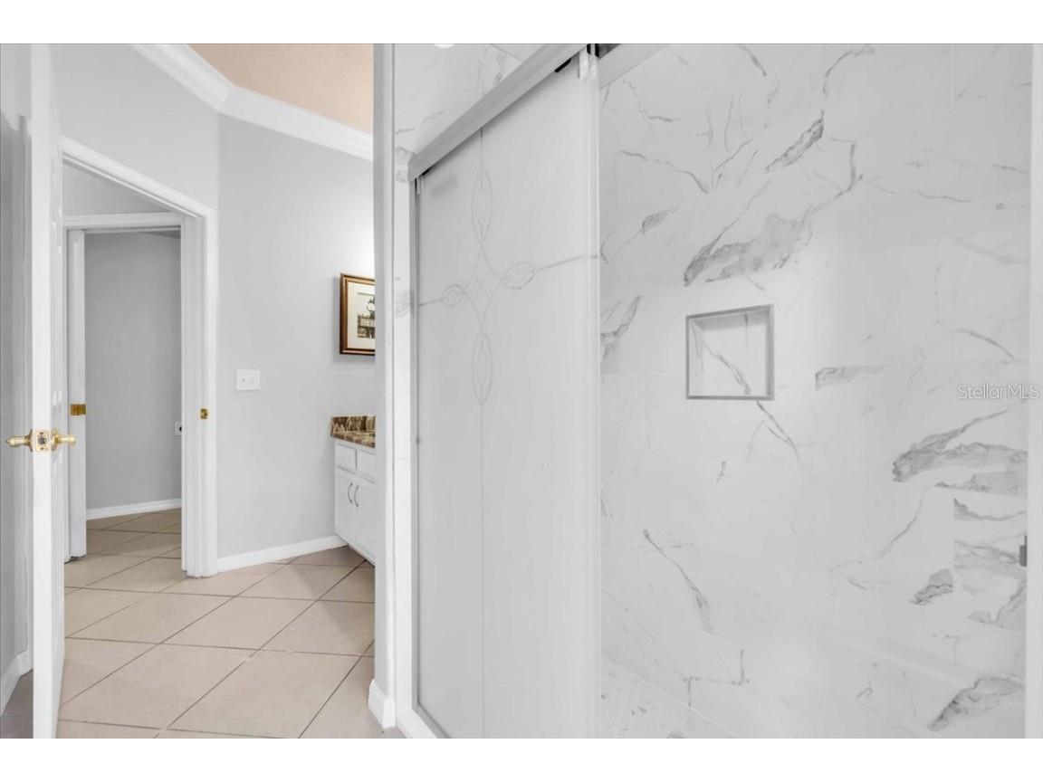 12835 Darby Ridge Drive Tampa FL 33624 A4657557 image22