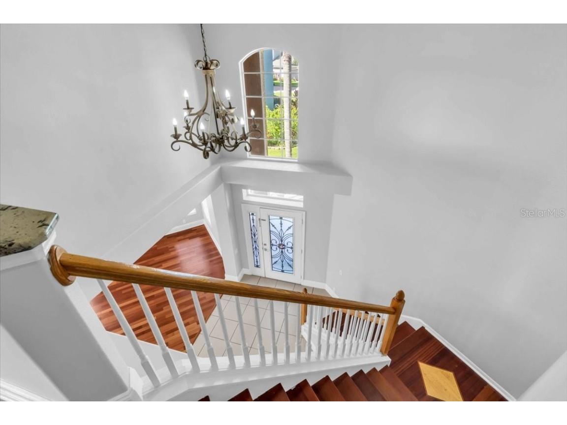 12835 Darby Ridge Drive Tampa FL 33624 A4657557 image23