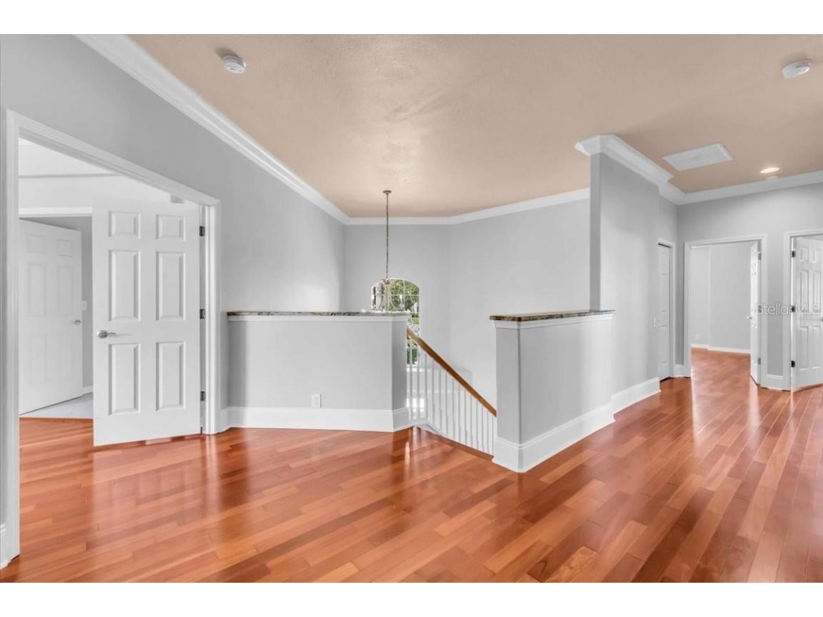 12835 Darby Ridge Drive Tampa FL 33624 A4657557 image25