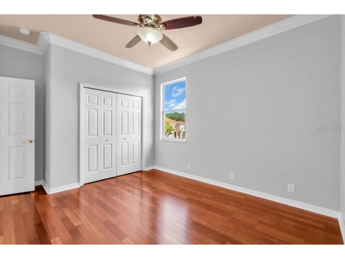 12835 Darby Ridge Drive Tampa FL 33624 A4657557 image34