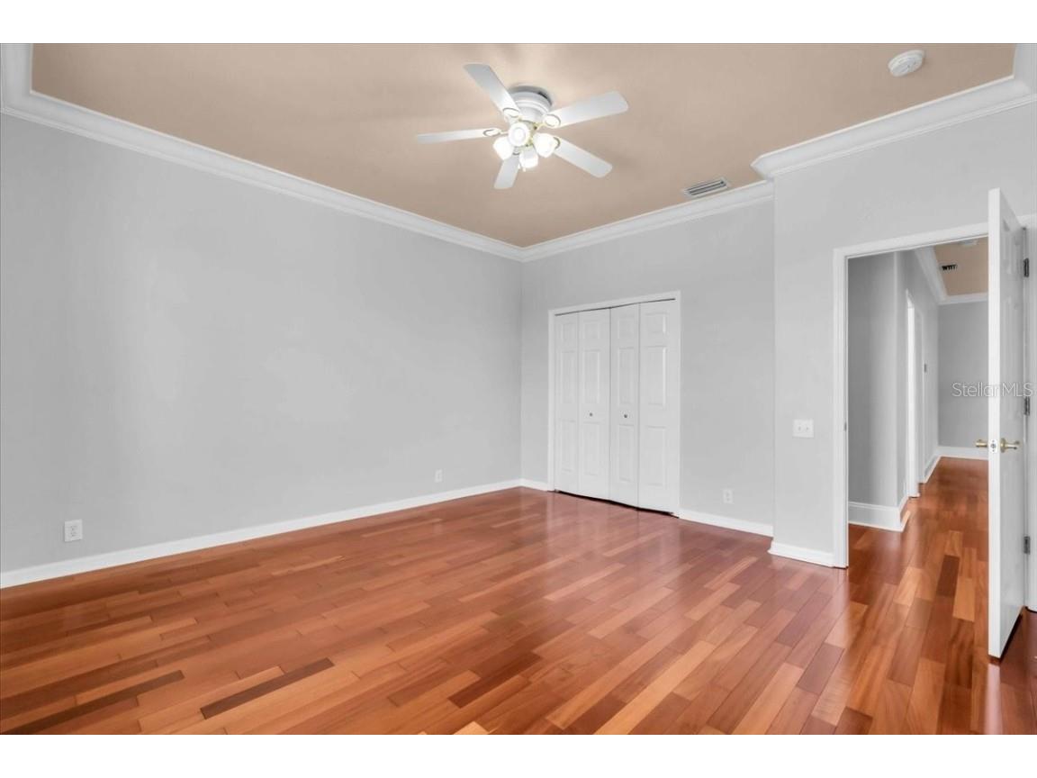 12835 Darby Ridge Drive Tampa FL 33624 A4657557 image37