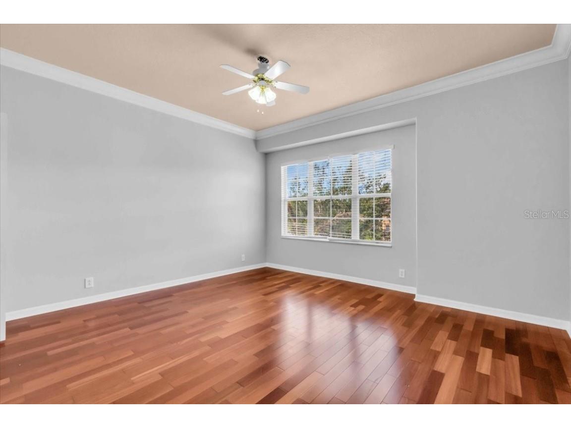 12835 Darby Ridge Drive Tampa FL 33624 A4657557 image38