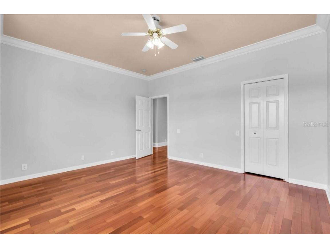 12835 Darby Ridge Drive Tampa FL 33624 A4657557 image39