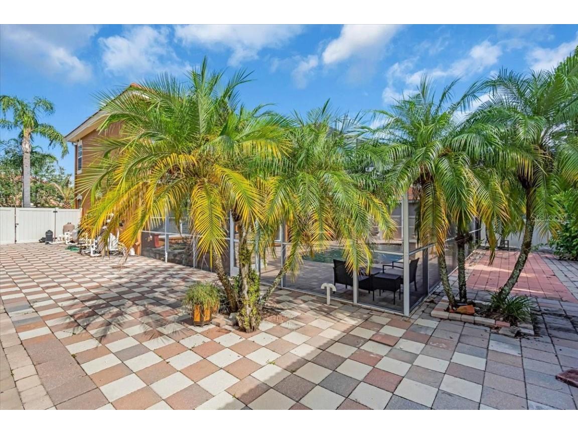 12835 Darby Ridge Drive Tampa FL 33624 A4657557 image47