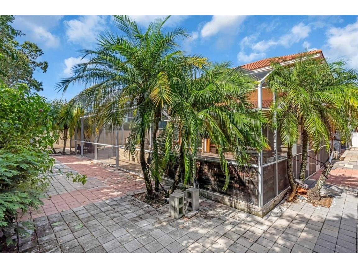 12835 Darby Ridge Drive Tampa FL 33624 A4657557 image48