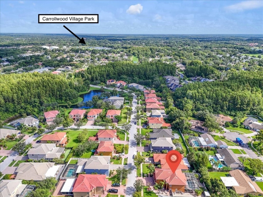 12835 Darby Ridge Drive Tampa FL 33624 A4657557 image53