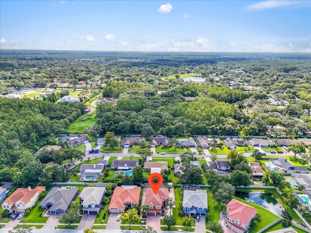 12835 Darby Ridge Drive Tampa FL 33624 A4657557 image55