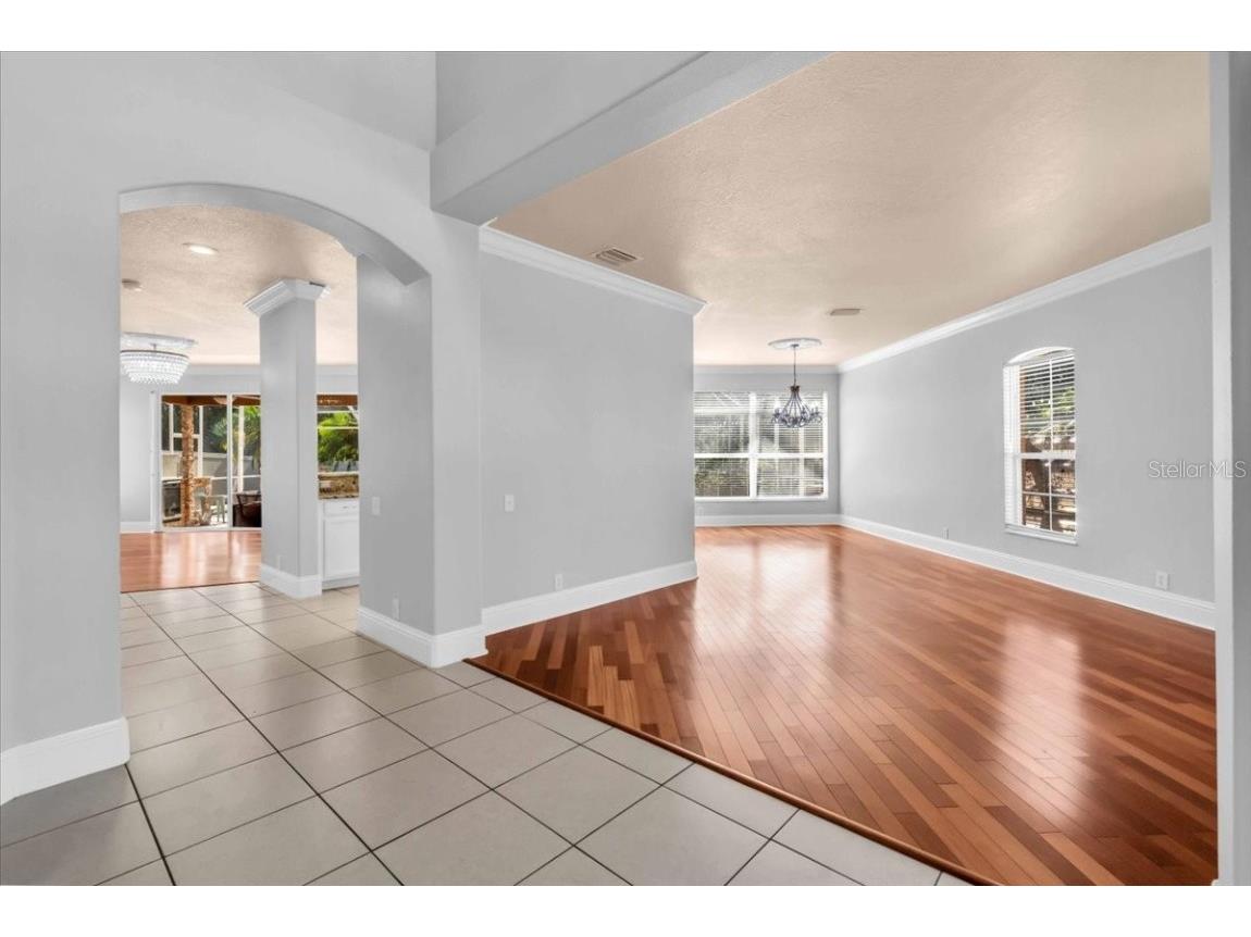 12835 Darby Ridge Drive Tampa FL 33624 A4657557 image8