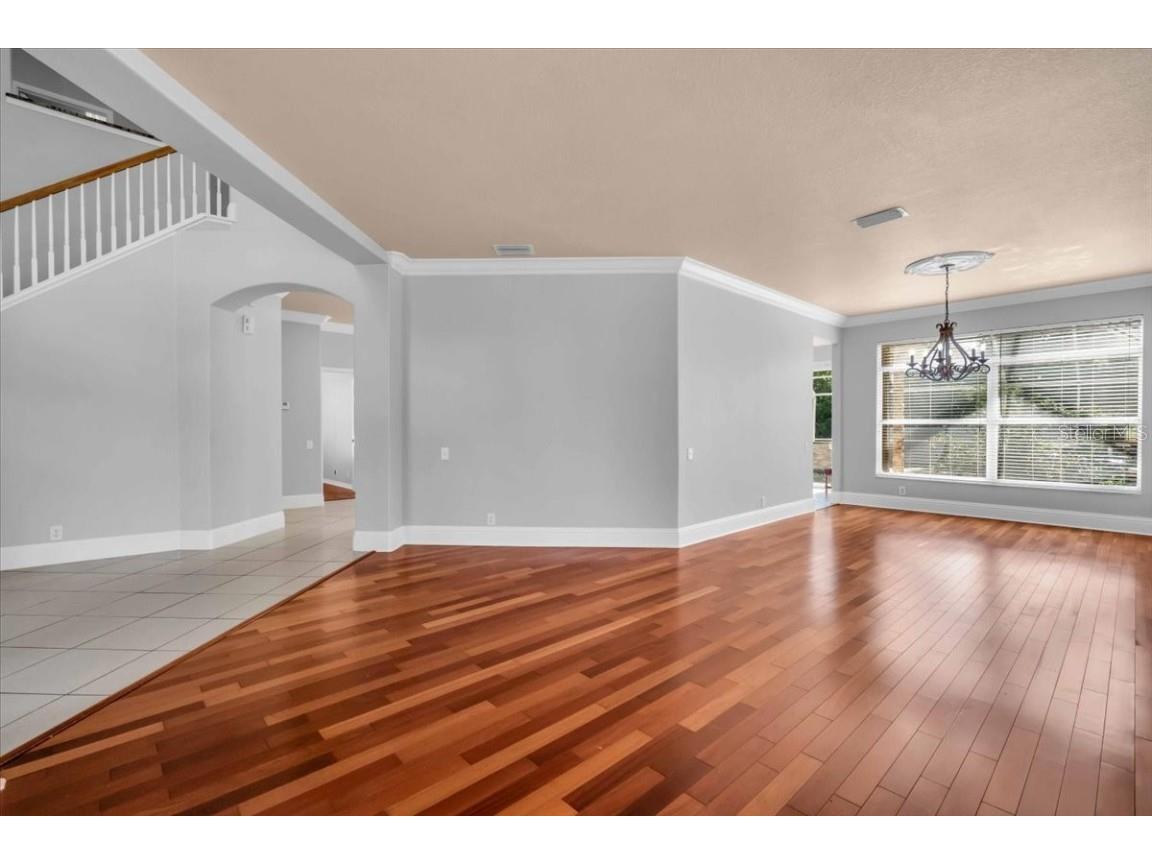 12835 Darby Ridge Drive Tampa FL 33624 A4657557 image9