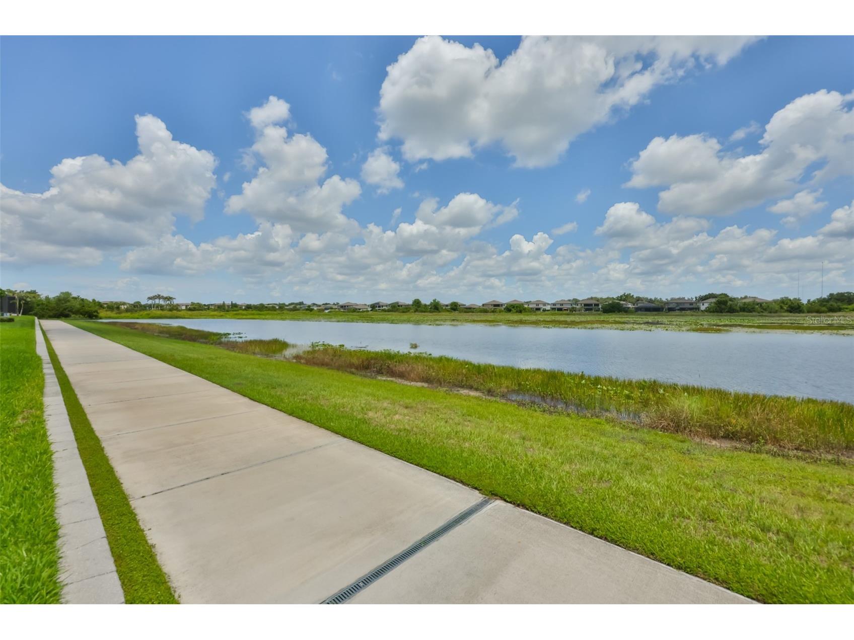 12835 Satin Lily Drive Riverview FL 33579 TB8526535 image36