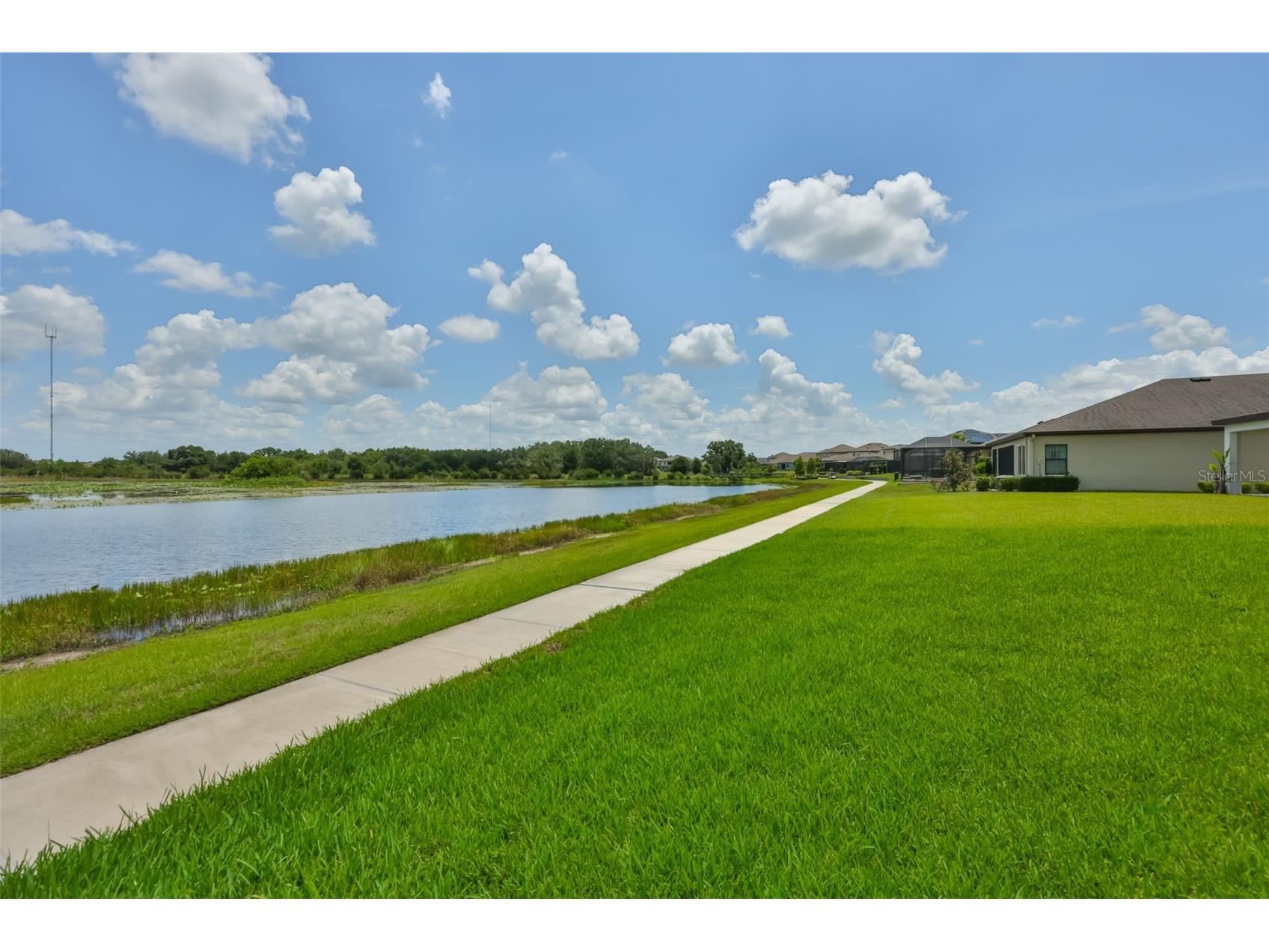 12835 Satin Lily Drive Riverview FL 33579 TB8526535 image7