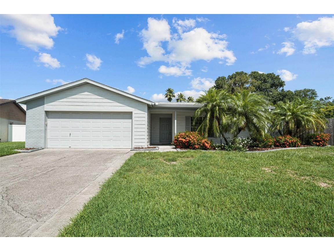 12835 Tallowood Drive Riverview FL 33579 T3539054 image1