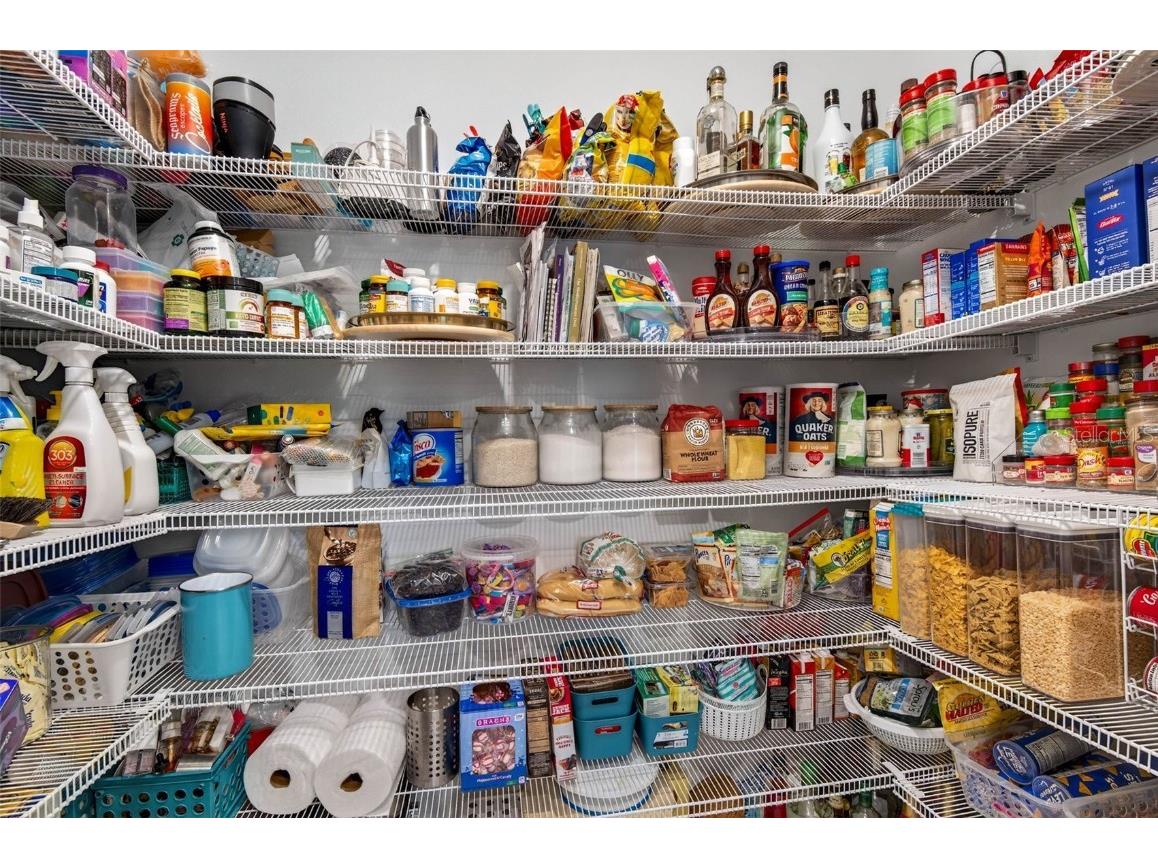 12835 Wildflower Meadow Drive Riverview FL 33579 TB8396064 image29