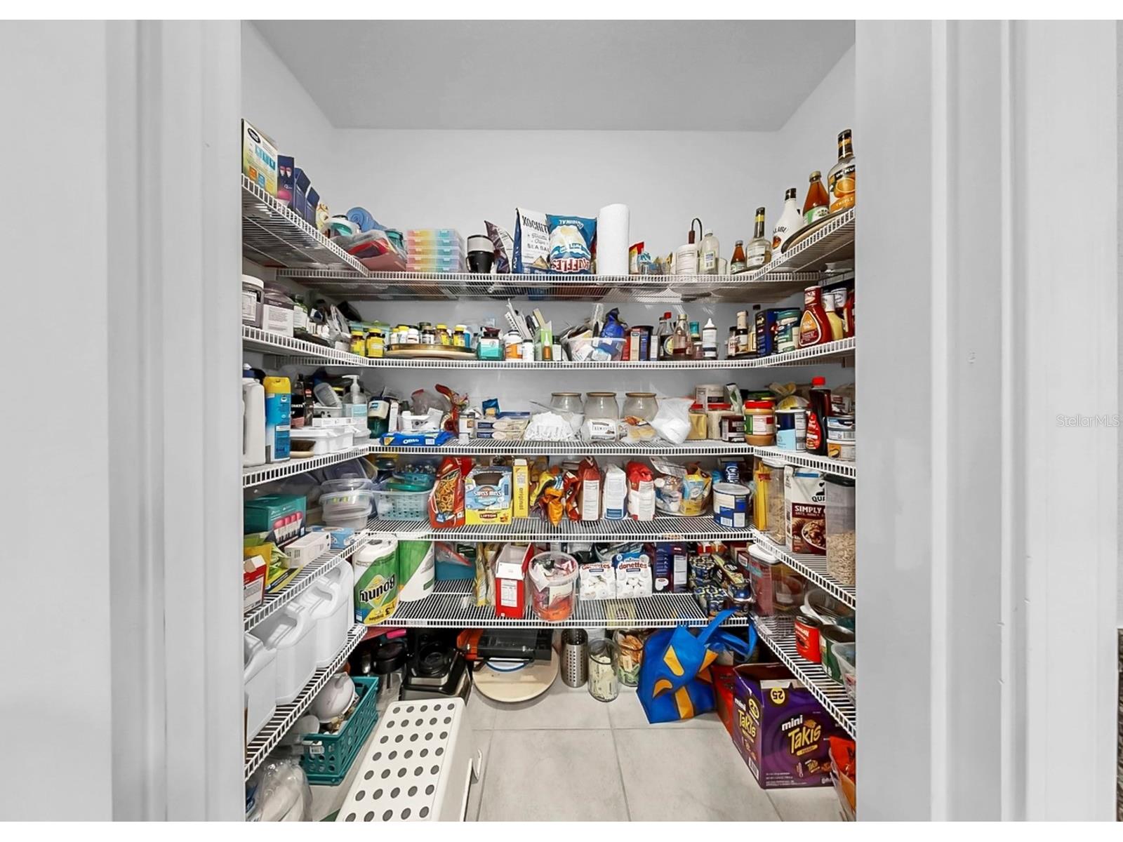 12835 Wildflower Meadow Drive Riverview FL 33579 TB8497007 image16